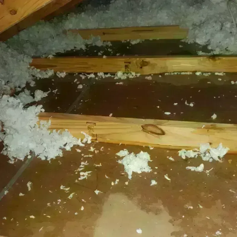 Attic Water Damage in Barnesville, GA