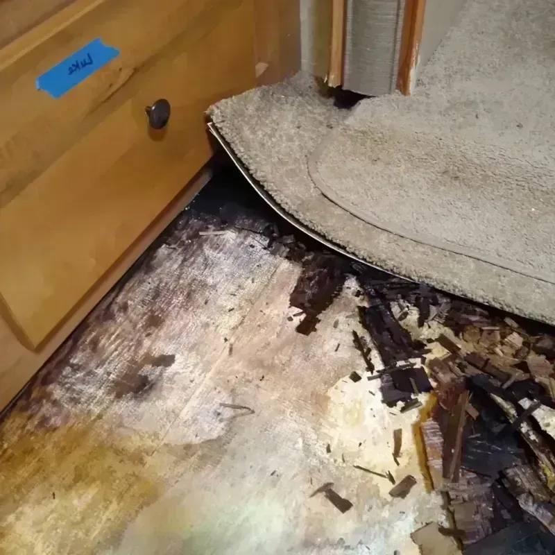 Best Wood Floor Water Damage Service in Barnesville, GA